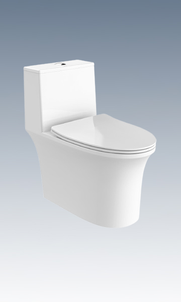 超旋風360°D2坐便器